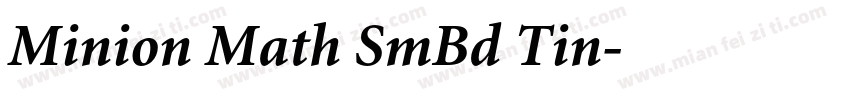 Minion Math SmBd Tin字体转换